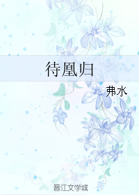 待凰归 封面