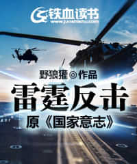 雷霆反击/国家意志 封面