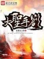 大圣手札 封面