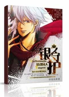 [银魂]银之守护 封面