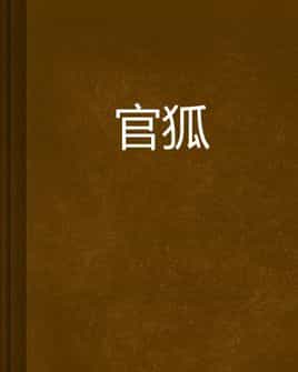 官狐 封面