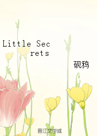 Little Secrets 封面