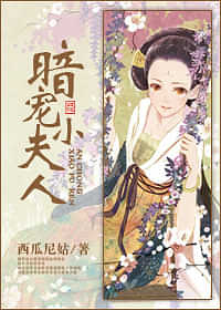《暗宠小夫人！》封面
