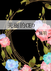 美丽的CEO 封面