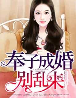 奉子成婚，别乱来 封面