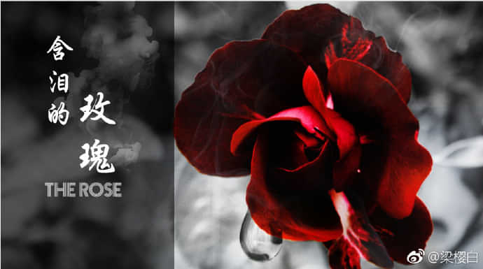 《含泪的玫瑰》封面