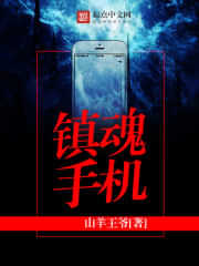 镇魂手机 封面