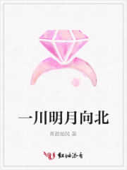 一川明月向北 封面