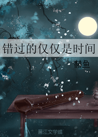 《错过的仅仅是时间》封面