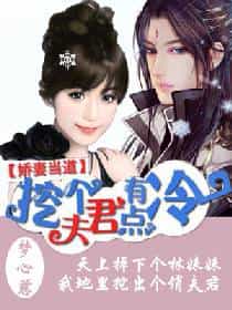 娇妻当道：挖个夫君有点冷 封面