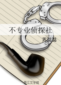 不专业侦探社 封面