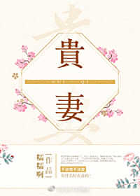 贵妻 封面