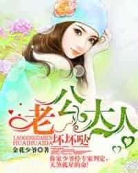 老公大人坏坏哒 封面