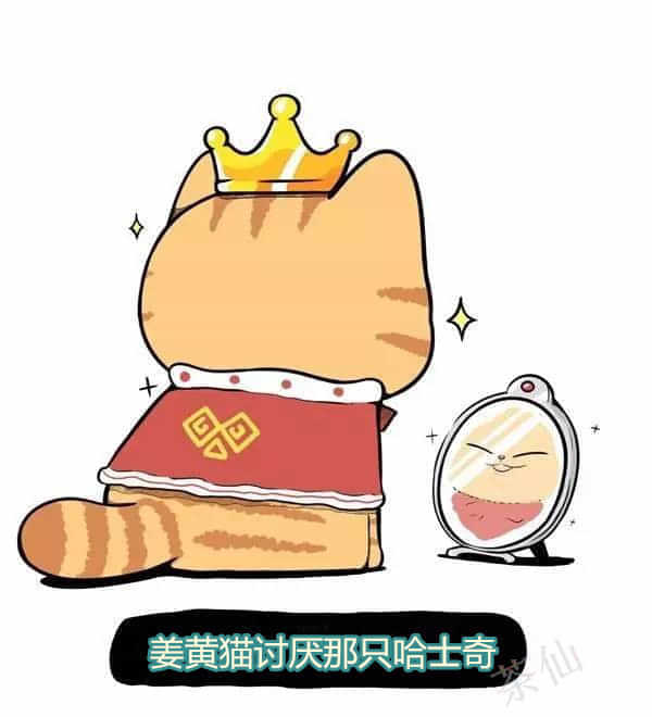 姜黄猫讨厌那只哈士奇 封面