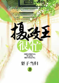摄政王很忙 封面