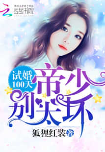 试婚100天:帝少,别太坏 封面