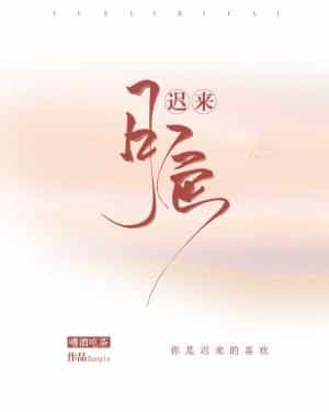 迟来月色 封面
