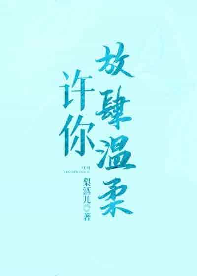 许你放肆温柔 封面