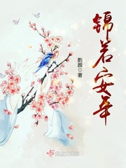 《锦若安年》封面