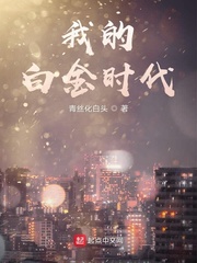 我的白金时代 封面