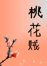 桃花贼 封面