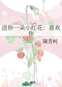 送你一朵小红花：喜欢你 封面