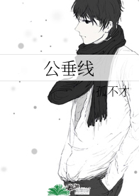 《公垂线》封面