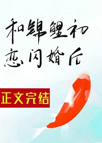 和锦鲤初恋闪婚后 封面