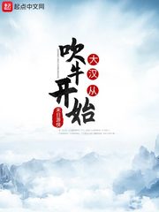 大汉从吹牛开始 封面