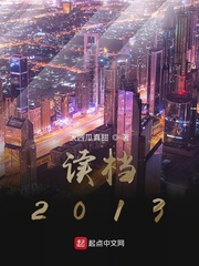 读档2013 封面