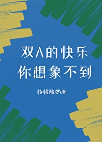 双A的快乐你无法想象 封面