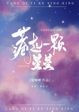 藏起一颗星星[娱乐圈] 封面