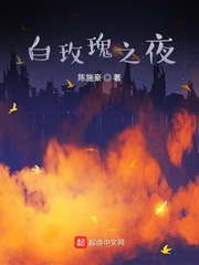 白玫瑰之夜 封面