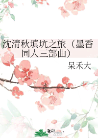 沈清秋填坑之旅（墨香同人三部曲） 封面