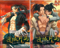 《边城片马》封面