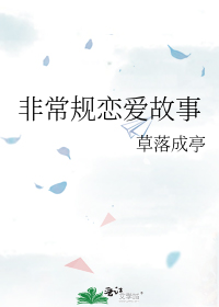 非常规恋爱故事 封面