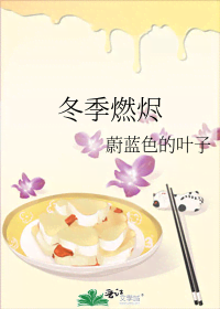 冬季燃烬 封面