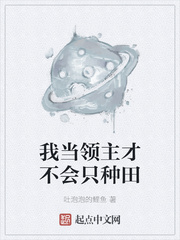 我当领主才不会只种田 封面