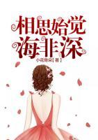 相思始觉海非深 封面