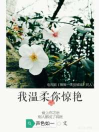[微微一笑很倾城]我温柔，你惊艳 封面