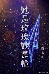 她是玫瑰她是枪 封面