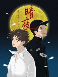 暗夜 封面