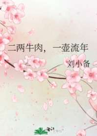 二两牛肉,一壶流年 封面