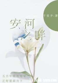《安河之畔》封面