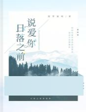 日落之前说爱你 封面