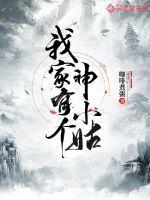 我家有个神小姑 封面