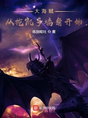 大海贼从挖凯多墙角开始 封面