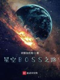 星空BOSS之路 封面