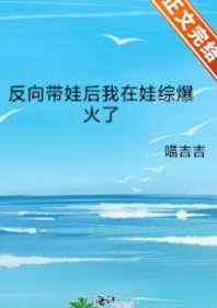 反向带娃后我在娃综爆火了 封面