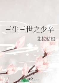 三生三世之少辛 封面